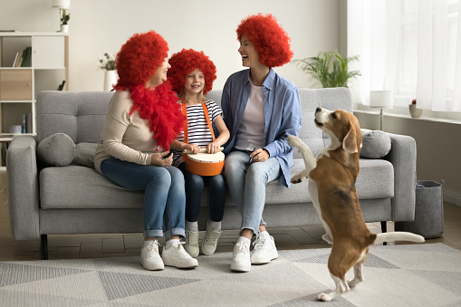 Happy little girl, cheerful mother, grandmother and dancing dog celebrating family event, kids birthday. Three family generations in funny red wigs playing toy drum, pet tricking and barking