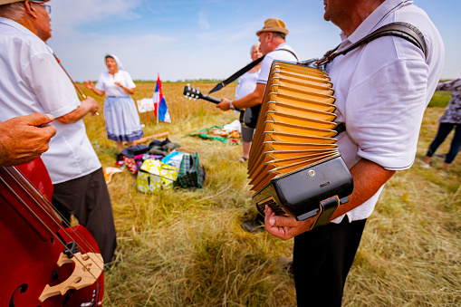 Muzlja, Vojvodina, Serbia, - July 01, 2023;Traditionally mowing wheat. Music for success before reaping wheat manually on traditional rural way