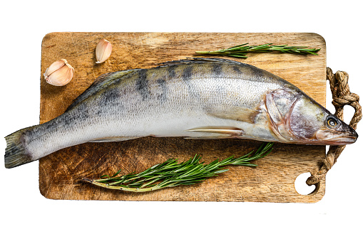 Raw pike perch, pikeperch fish. Fresh fish. Isolated on white background. Top view