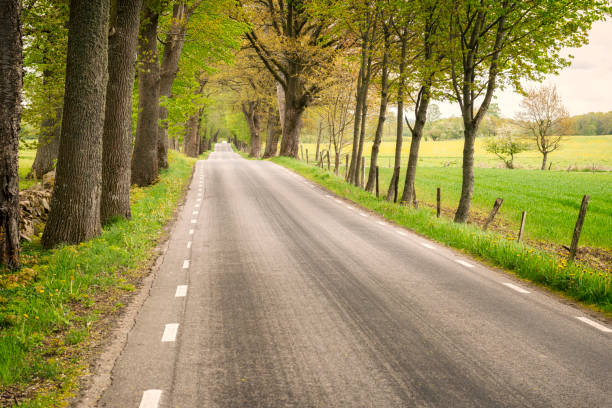 istock Swedish country road 1969948934