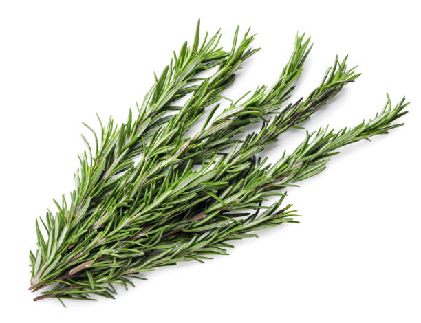 istock Fresh rosemary close-up on a white background. Top view 1969958987
