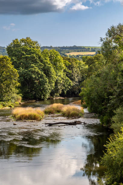 istock A view along the River Tamar in Devon, on a sunny September day 1969976133
