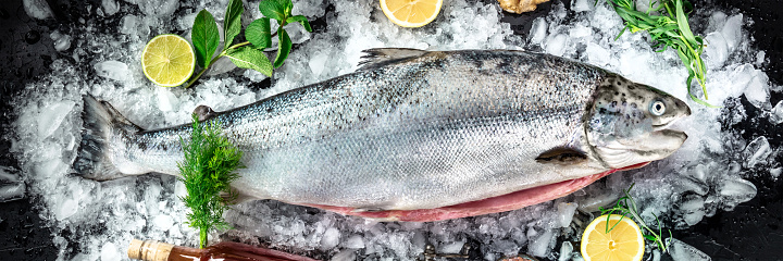 Salmon panorama. Whole fresh fish on ice with lemons and herbs, overhead flat lay shot on a black background, panoramic banner