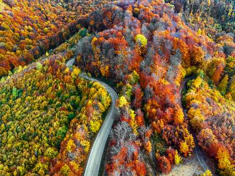 Amazing aerial autumn landscape in Balkan Mountains, Bulgaria. Beautiful colors of the season.