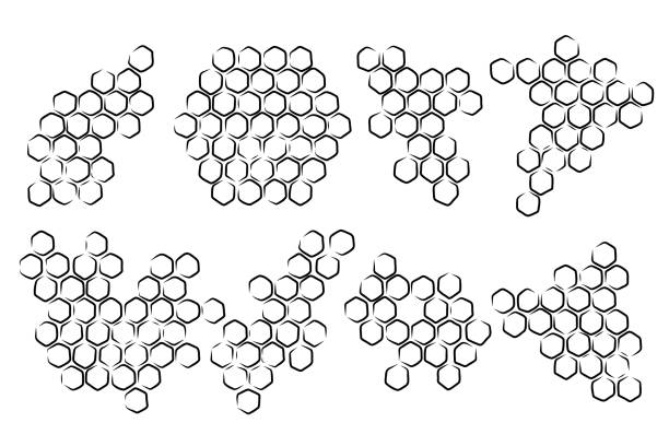 Propolis honeycomb set. Doodle hand drawn honeycomb sketch structure. Honey, pollen, wax, parchment and bee products in sketch style. Stock black and white illustration on a white background.