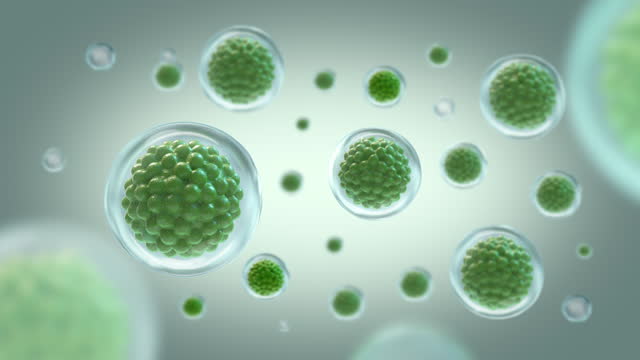 Macro shot of Green stem cell inside water bubble, 3D animation