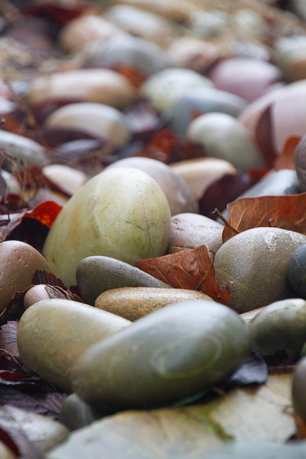 Round, smooth river rock background with autumn or winter leaves closeup or macro with selective focus.