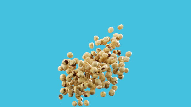 Super slow motion hazelnuts tossed in the air and falling on blue background