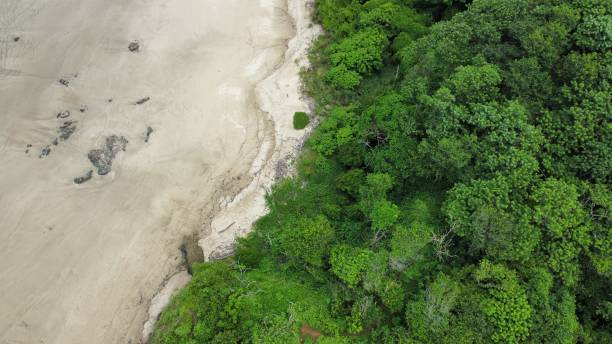 istock Natural beach aerial view 1970110879