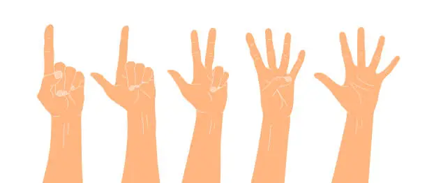 Vector illustration of Set of Hand drawn hands counting numbers. Counting fingers. Vector illustration