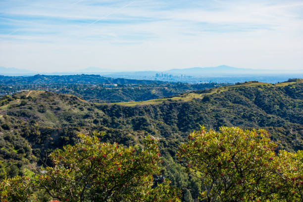 Canyon Back trail in Santa Monica Mountains