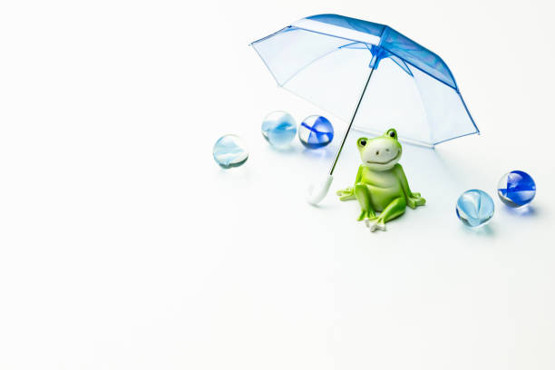 rainy season, rain, umbrella, frog, white background