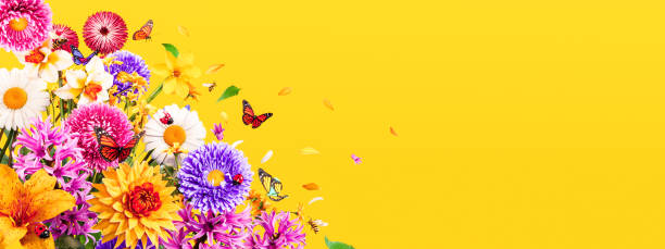 Beautiful colorful spring flowers with butterflies on vibrant yellow background with copy space. Beautiful colorful spring flowers with butterflies on vibrant yellow background with copy space. 3D Rendering, 3D Illustration healthcare fitness and herbal medicine banner set stock pictures, royalty-free photos & images