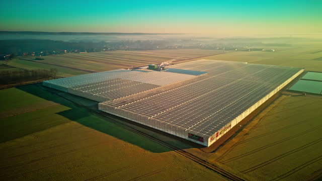 AERIAL Hyper Lapse Drone Footage of Large Greenhouse on Agricultural Field during Sunset against Clear Blue Sky
