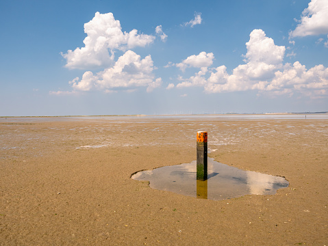 Wooden beach pole with red top in puddle at low tide - distance marker along basic coastline indicating tide line of North Sea, Goeree, South Holland, Netherlands