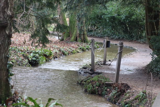 Mottisfont Stream through the gardens mottisfont stock pictures, royalty-free photos & images