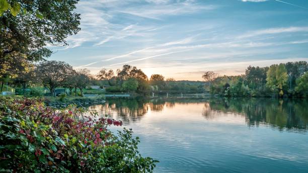 istock Sunset illuminates trees and bushes near water 1970275746