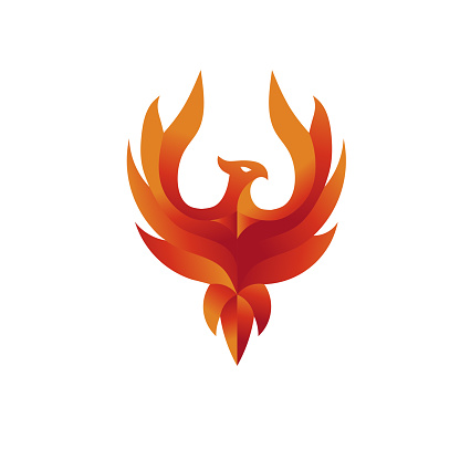 luxury phoenix  symbol  concept, best phoenix bird ldesig