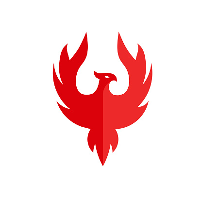 luxury phoenix  symbol  concept, best phoenix bird ldesig