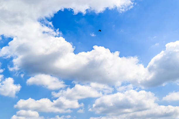 White clouds in the bright blue sky. The beauty of the nature