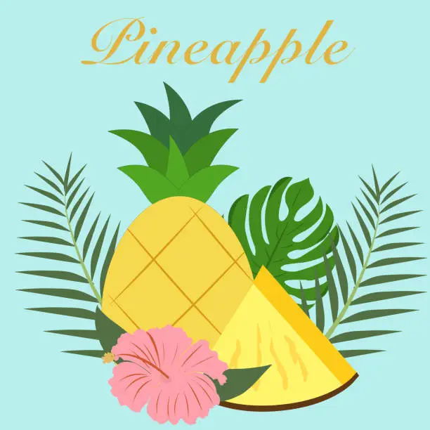Vector illustration of Pineapple. Pineapple Fruit Vector Illustration. Colorful sweet slice of pineapple for juicy in the summer. Design for background, banner, wallpaper, poster