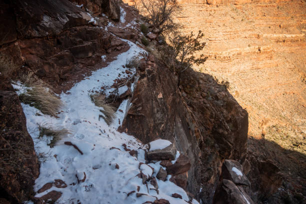 Shelf Trail Covered In Snow With Fresh Mountain Lion Prints in the Grand Canyon