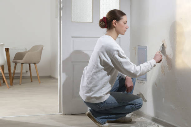 istock Saltpeter on the wall problem. Woman is using a scraper to scrape and remove all loose paint and plaster that is in poor condition, until a firm surface is achieved. 1970335703