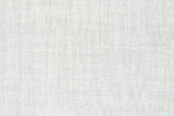 istock Canvas Textured fabric white background wallpaper. Use for design art work, backdrop or skin product. 1970335720
