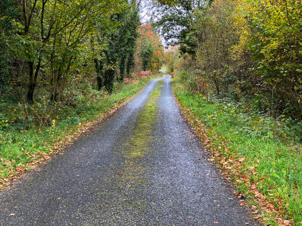 istock Killykeen forest park, Cavan, Ireland 1970347930