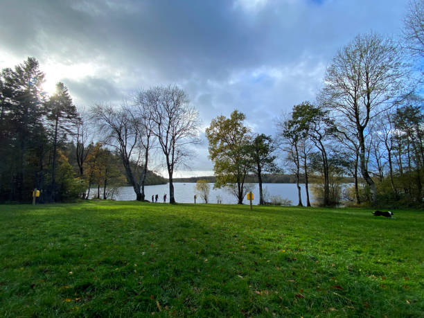 istock Lough Oughter in Killykeen forest park 1970351192