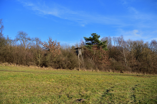 Hunting lodge on the edge of the forest overlooking the meadows for hunting animal