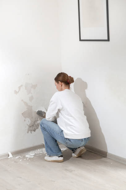 istock Saltpeter on the wall problem. Woman is using a scraper to scrape and remove all loose paint and plaster that is in poor condition, until a firm surface is achieved. 1970363739