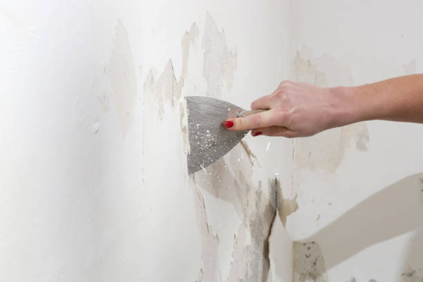 istock Saltpeter on the wall problem. Woman is using a scraper to scrape and remove all loose paint and plaster that is in poor condition, until a firm surface is achieved. 1970376999