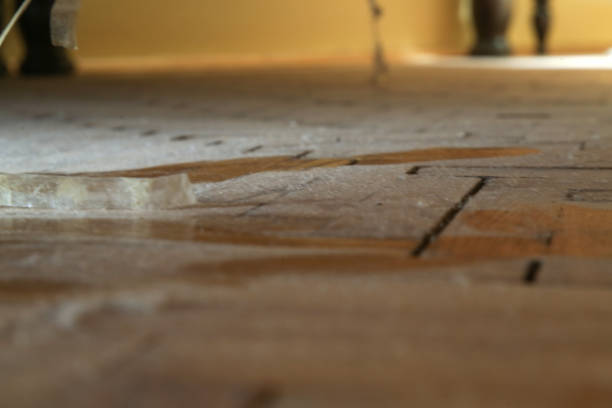 istock Dust on the wooden floor under the bed 1970407113