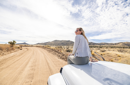 Immerse in tranquility as a woman finds solace on the hood of her car, contemplating the untamed beauty of the wilderness. A moment of peaceful reflection amid nature's vast embrace.\