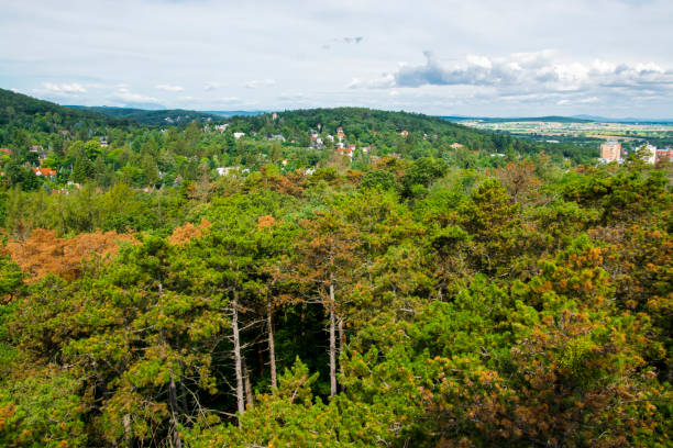 istock View from lookout tower near Sopron 1970440641
