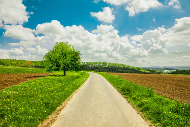 Country road through a green landscape with meadows and forests