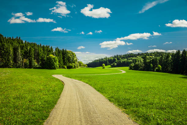 istock Country road through a green landscape 1970443883