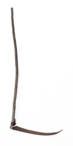 istock old hay scythe isolated on white background 1970462347