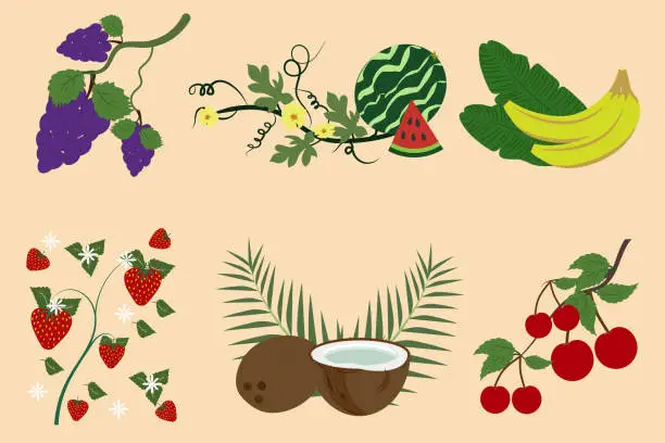 Vector illustration of Sprigs of ripe berries and fruits. Set of various edible berry and fruit branches with leaves, stems and flowers isolated on a beige background. Vector collection of fruits.