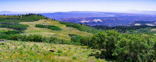 Steep Creek Overlook in Dixie National Forest along Utah Scenic Byway 12