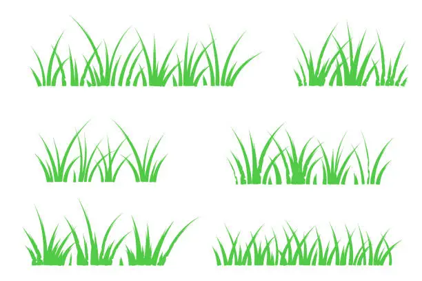 Vector illustration of Grass doodle sketch style set. Doodle herb, organic pattern elements. Vector illustration. Hand drawn grass field outline scribble background.