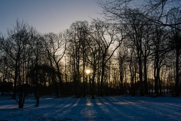 Larischuv altan gazebo in Park Bozeny Nemcove in Karvina city in Czech republic during winter day with clear sky