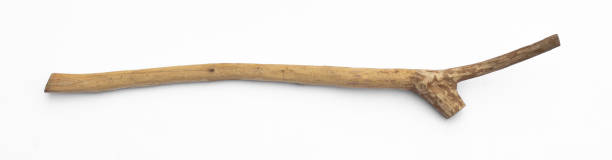istock wooden shepherd stick isolated on white background 1970538167