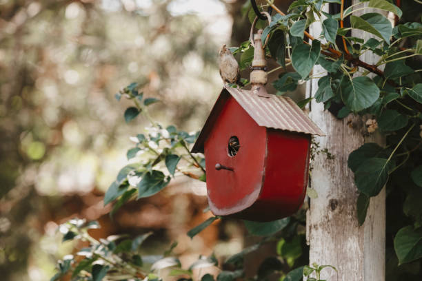 Bright blue wooden birdhouse mounted on a white birch tree, surrounded by green foliage in a tranquil park setting under a sunny sky.
