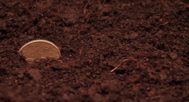 Extreme close-up of a hand throwing coins into the brown ground. Planting coins in the ground is a concept of contribution and investment in agriculture, agribusiness, agribusiness.