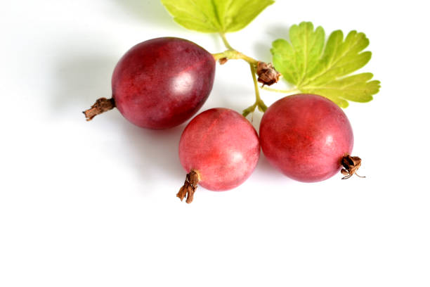 Ripe gooseberry fruits with green leaf lie on white.