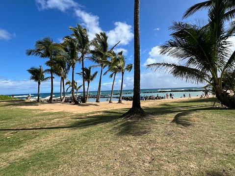 Landscape scenes with beach from the Hawaiian Island of Kauai