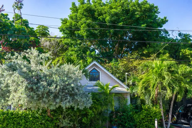 Key West Housefront with Trees