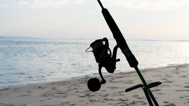 istock Fishing in the qatar sealine. 1970654417